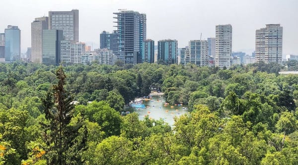 Estaciona y disfruta de Anzures y Chapultepec: ¡Todo al alcance de tu mano! 🚗 🌆